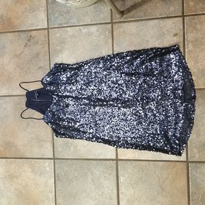 Navy Blue Seaquin Dress Express